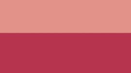 New Pink Parade/Flamingo Fun Tone/Silver