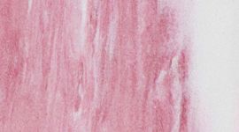 Lift and Lengthen Yoga Block *Marbled
