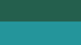 New Ivy Grove/Dreamy Blue/Polo Pastel