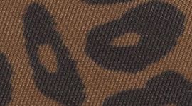 New Black/Leopardo Shift Midi Desert Khaki Multi/Night Brown/Gold