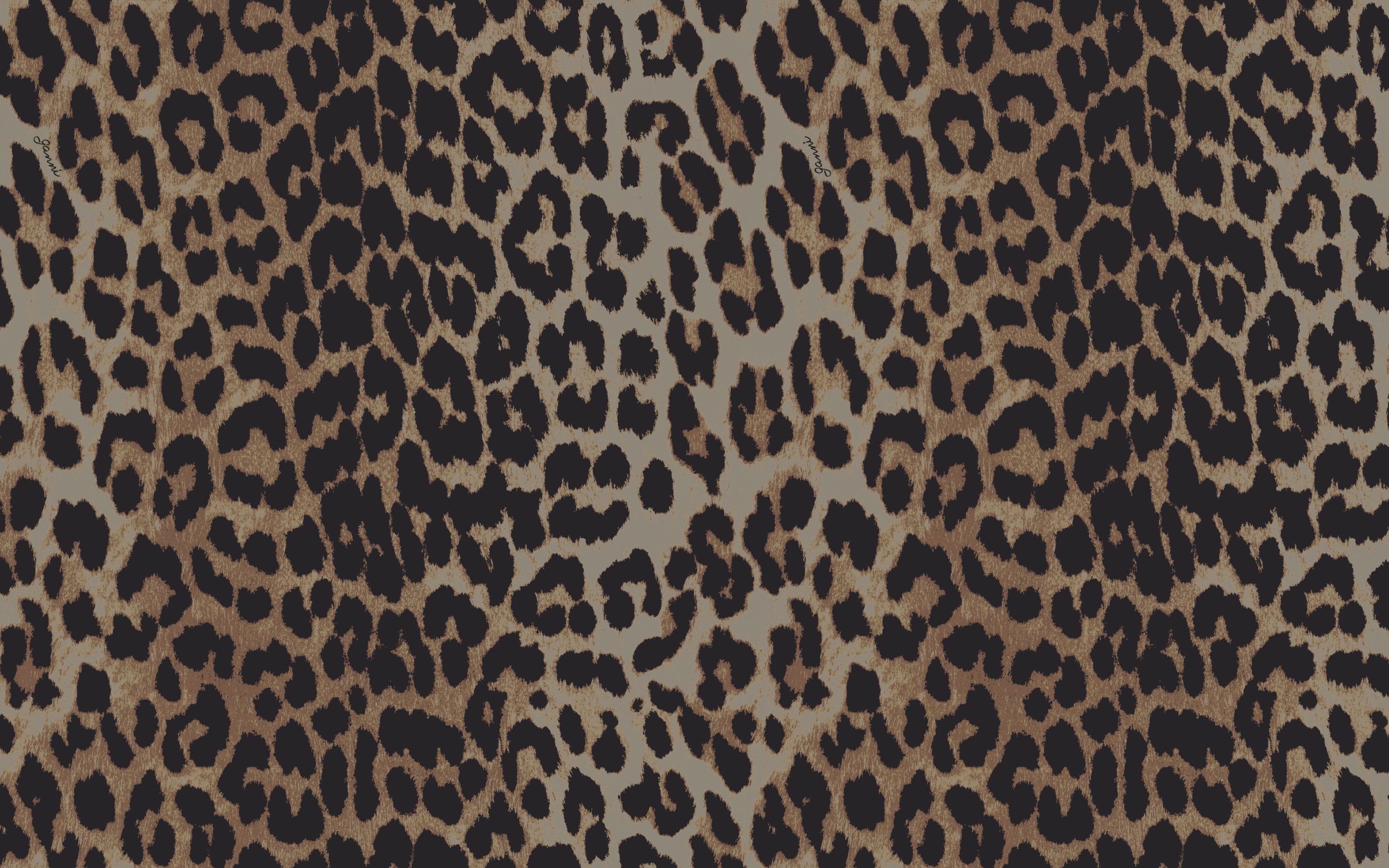 A leopard print graphic background.