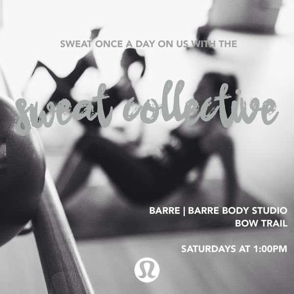 the sweat collective