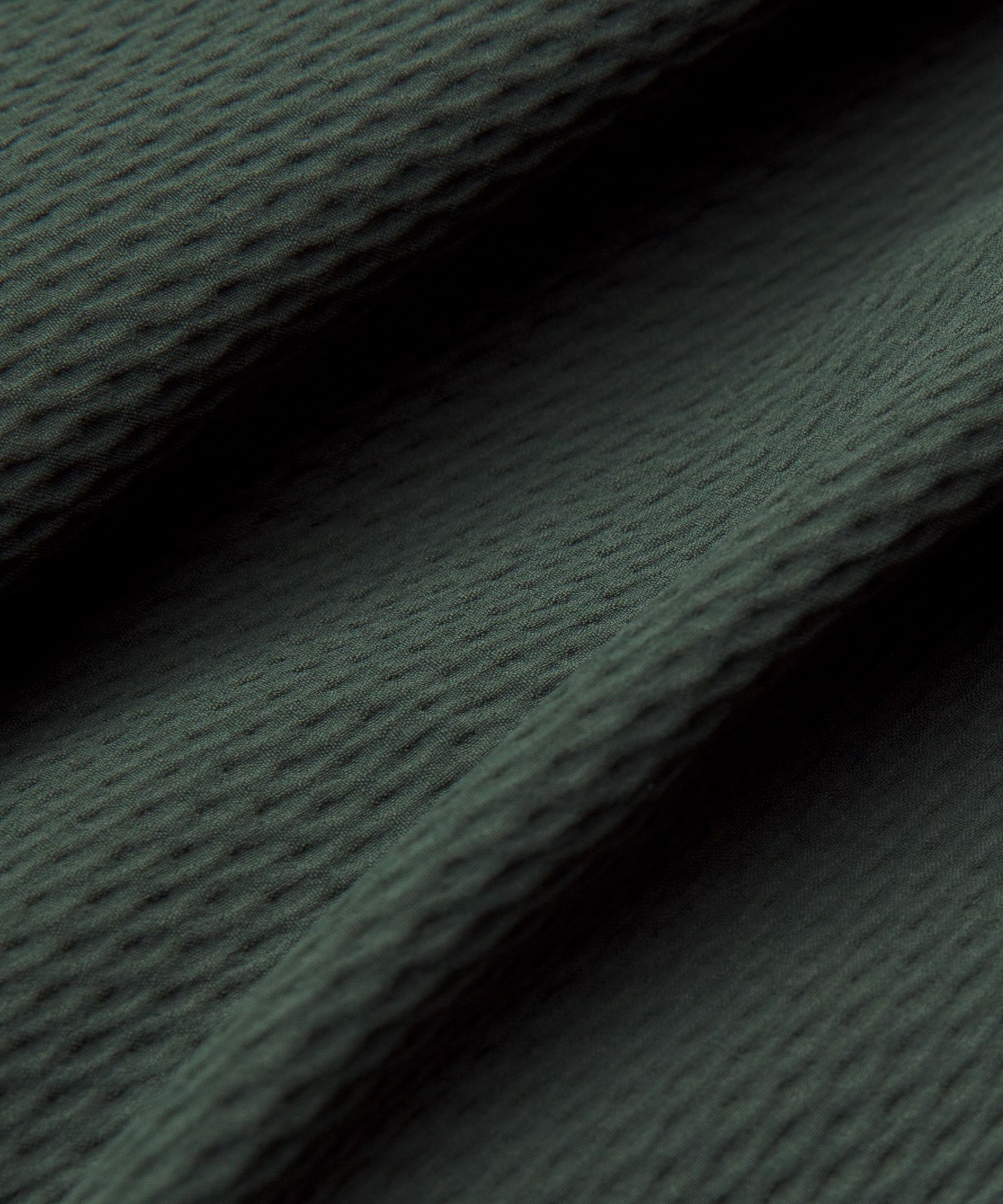 License to Train Textured Jogger *Regular