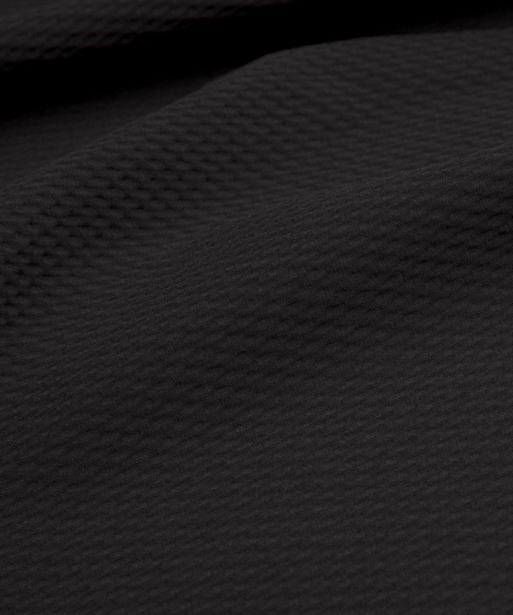 License to Train Textured Jogger *Shorter