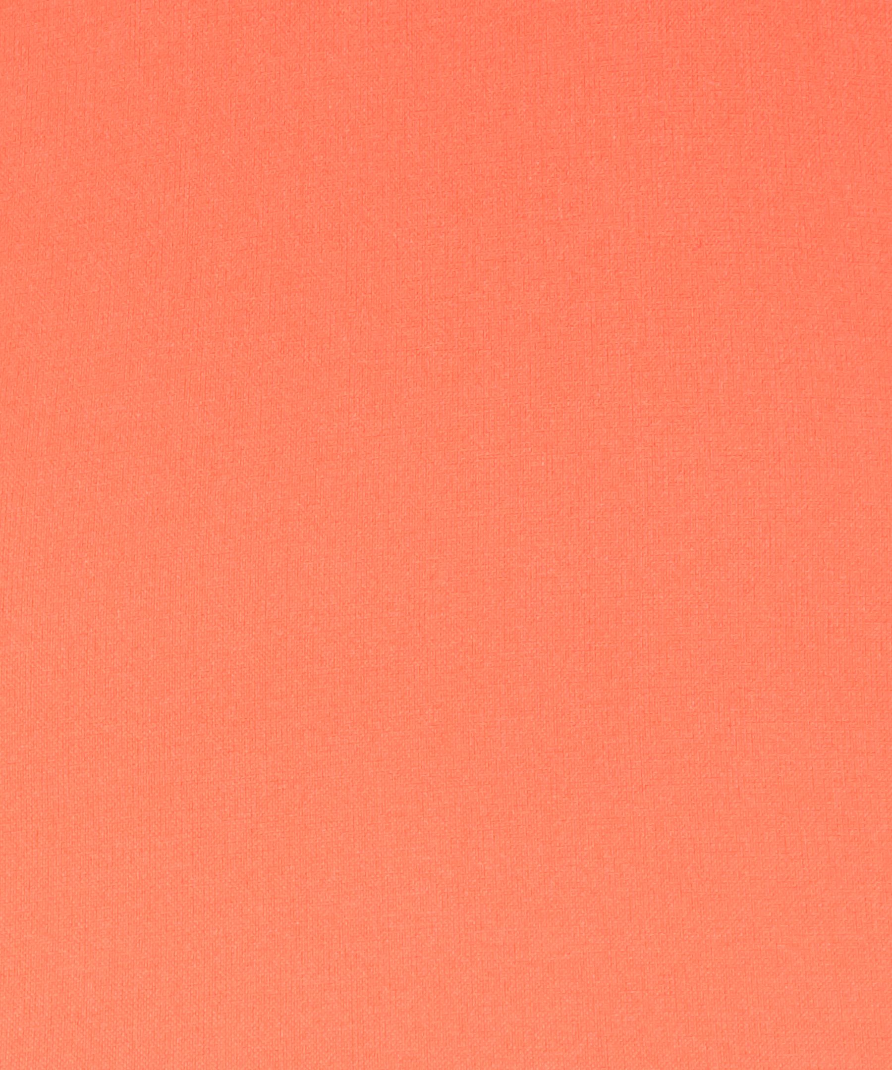 Carotene Surge Short 4" Liner