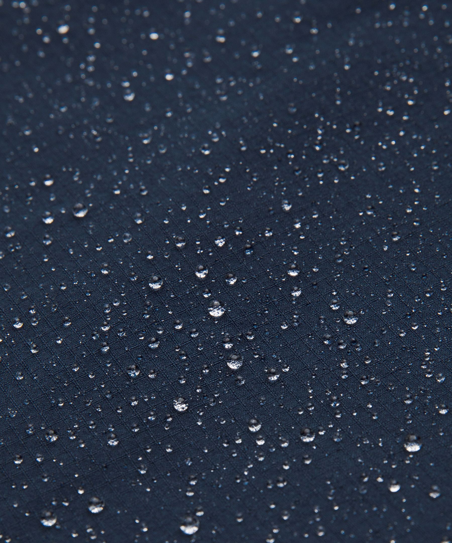 Zero Tucks Relaxed-Fit Short 8"