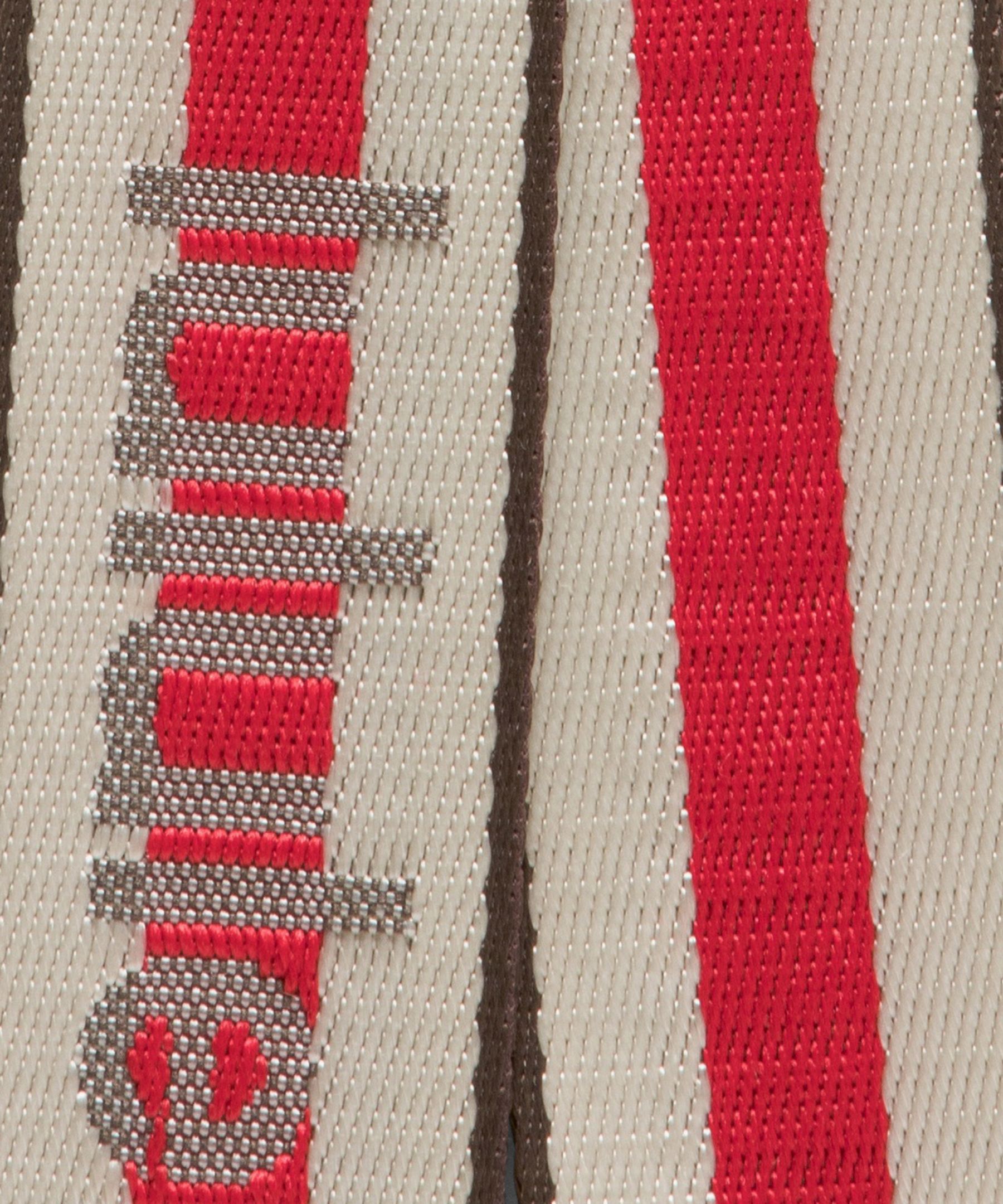 Everywhere Crossbody Bag 2L *Striped Wordmark