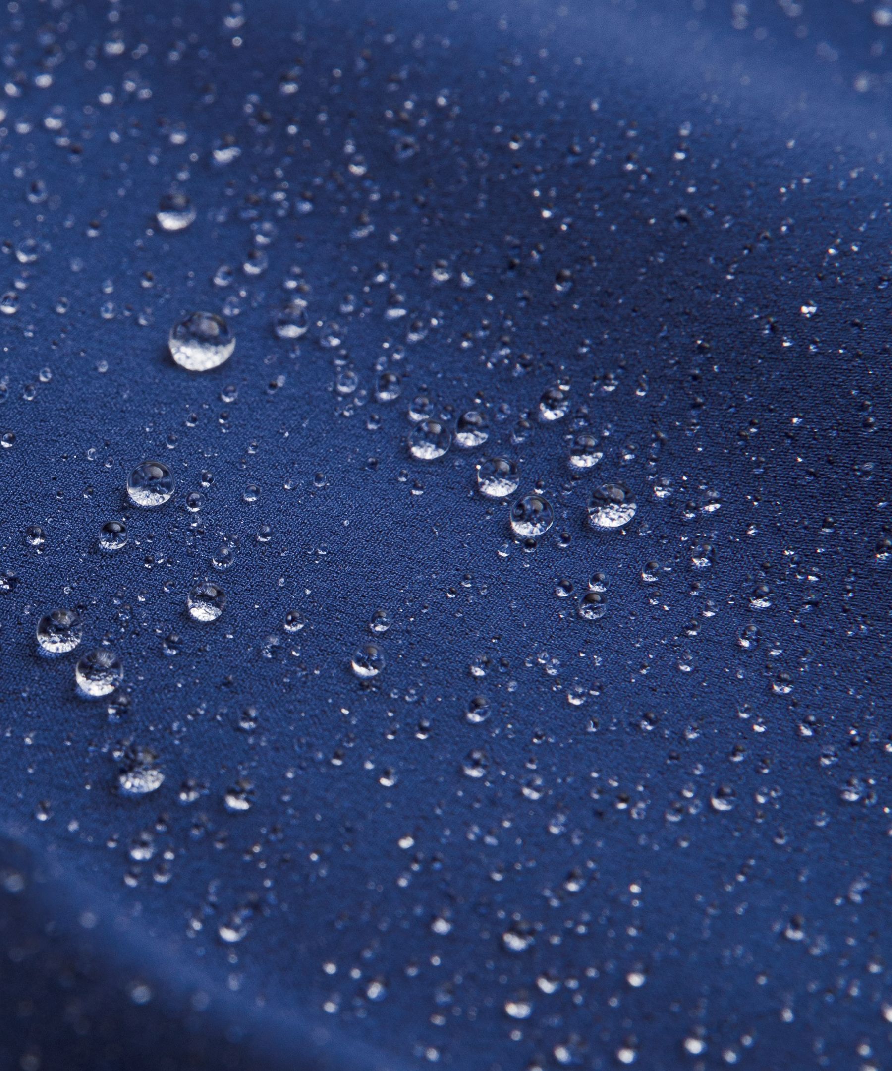 Mist Over Windbreaker