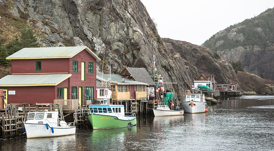 We’re The Neighbours: Avalon Mall, St. John’s