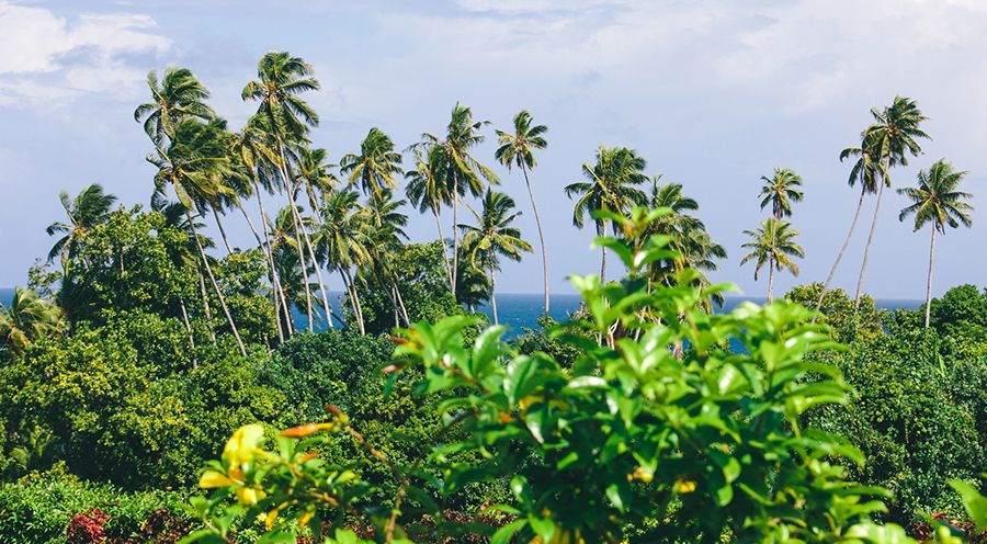 The Flip Side of Fiji