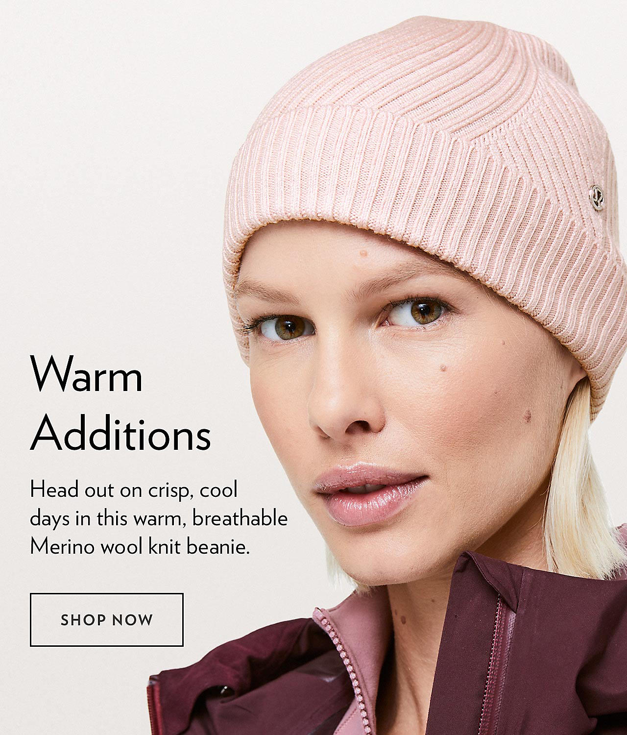 Warm Additions - SHOP NOW