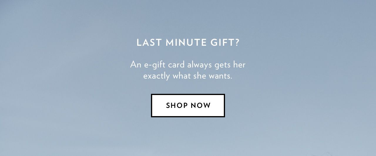LAST MINUTE GIFT? SHOP NOW